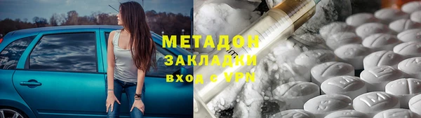 шишки Няндома