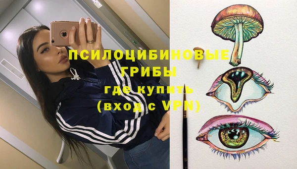 apvp Переславль-Залесский