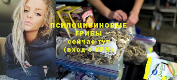 хмурый Пестово