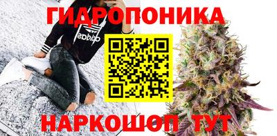 гашик Ирбит