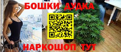 гашик Ирбит
